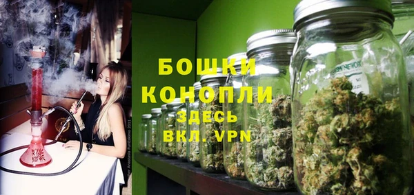 дмт Арсеньев