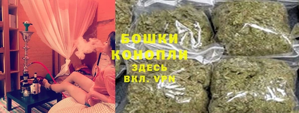 дмт Арсеньев