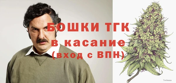 дмт Арсеньев