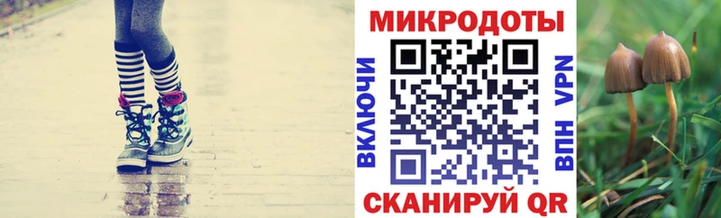 Галлюциногенные грибы GOLDEN TEACHER  mega ссылка  Белгород 